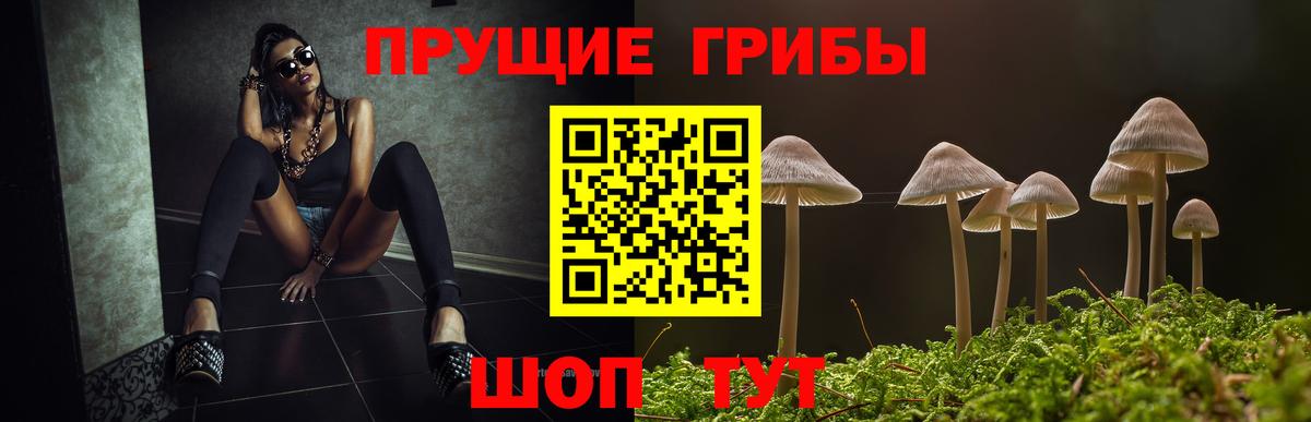 Псков  купить   Вход с VPN  Галлюциногенные грибы Magic Shrooms 