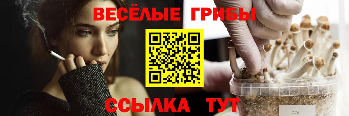 Галлюциногенные грибы мицелий Псков