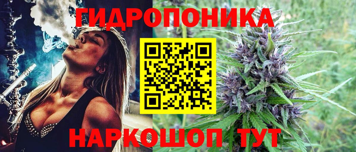 Бошки Шишки план  Вход с VPN  Псков  Каннабис сатива  Бошки марихуана марихуана 